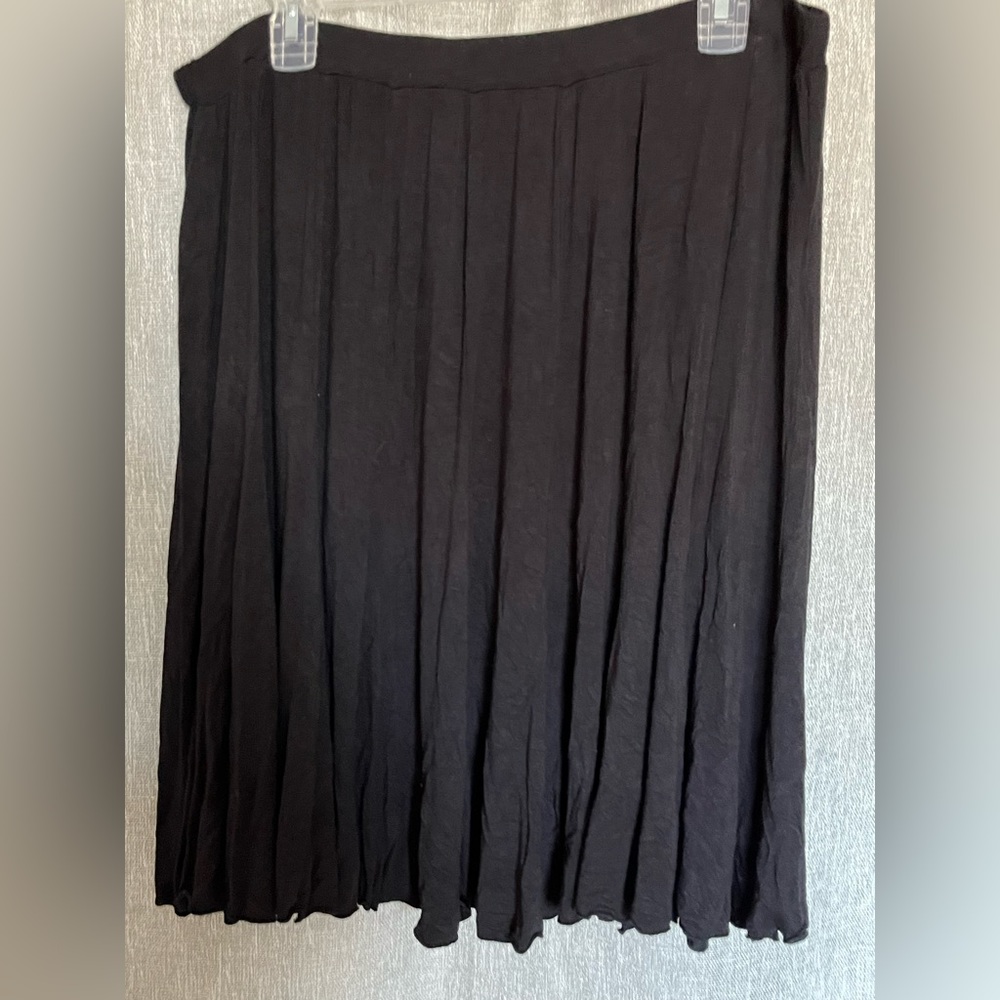 Style & Co Skirt